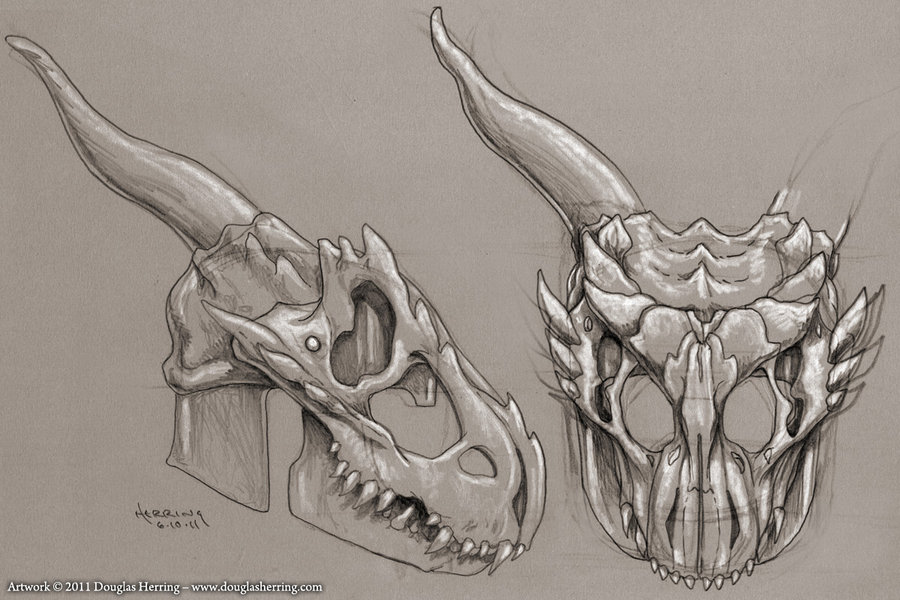 Dragon Skull Sketch at PaintingValley.com | Explore collection of ...