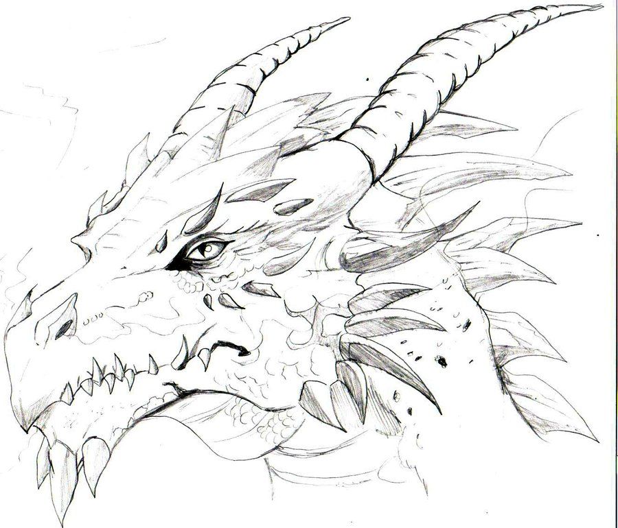 900x770 Drawings Of A Dragons Head Sketches Of Dragons Heads Dragons - Dragon Skull Sketch