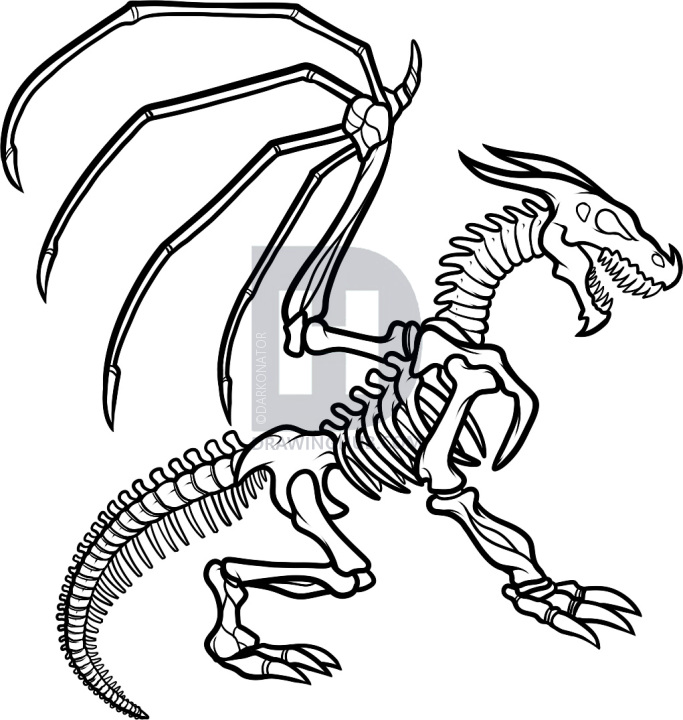 683x720 How To Draw A Dragon Skeleton, Dragon Skeleton, Step By Step - Dragon Skull Sketch
