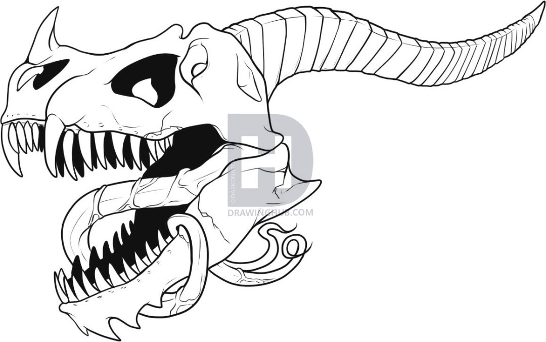 Dragon Skull Sketch at PaintingValley.com | Explore collection of ...