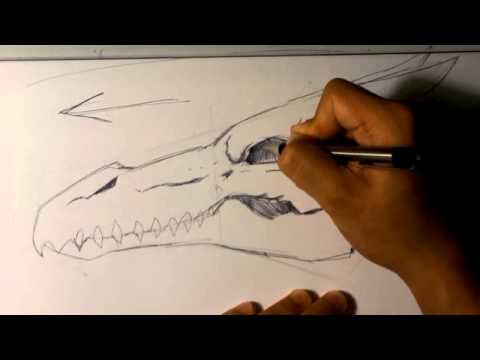 480x360 How To Draw A Dragon Skull - Dragon Skull Sketch