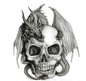 Dragon Skull Sketch at PaintingValley.com | Explore collection of ...