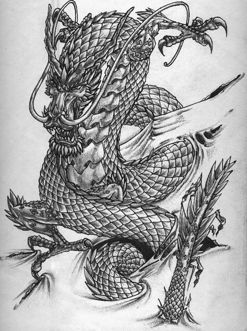 493x660 Chinese Dragon Sketch Sample For Tattoo - Dragon Tattoo Sketch