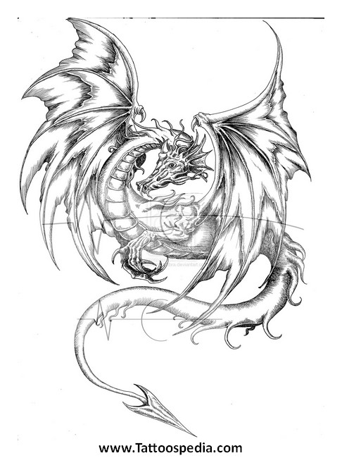 Dragon Tattoo Sketch at PaintingValley.com | Explore collection of ...