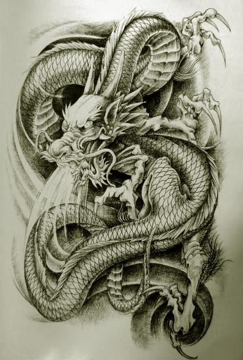 500x740 Dragon Tattoo Draw - Dragon Tattoo Sketch