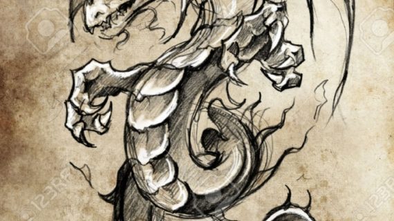 570x320 Dragon Tattoo Drawings 27100371 Tattoo Sketch Handmade Design Over - Dragon Tattoo Sketch