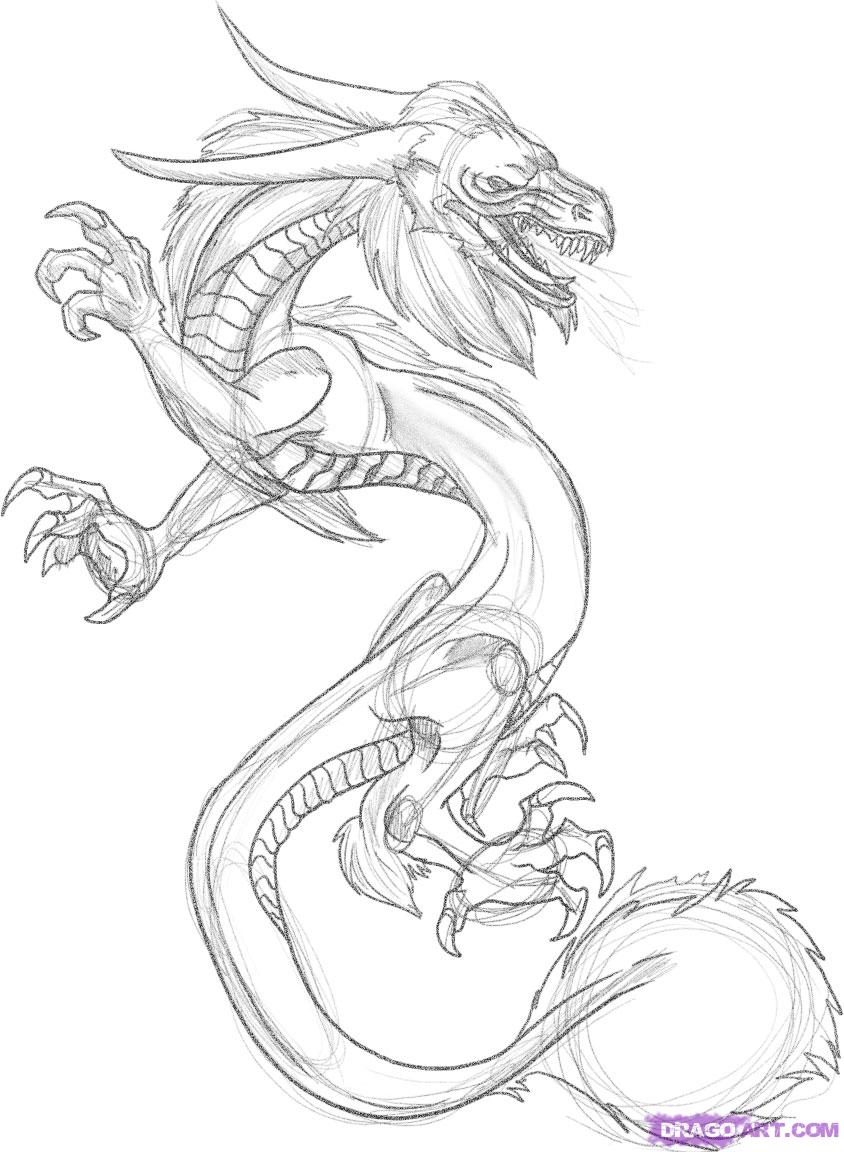 844x1152 Dragon Tattoo Sketch - Dragon Tattoo Sketch