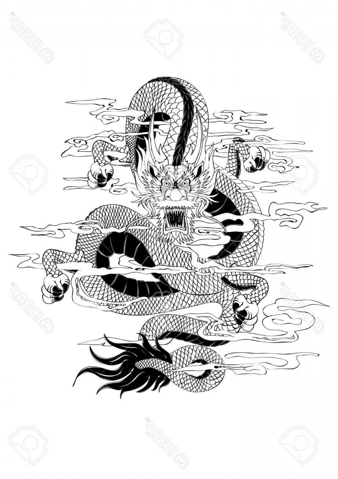 1102x1560 Photostock Vector Vector Illustration Graphic Black Dragon Tattoo - Dragon Tattoo Sketch