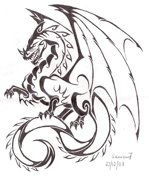 600x724 Tribal Dragon Tattoo Sketch Tattoo Tribal Dragon - Dragon Tattoo Sketch