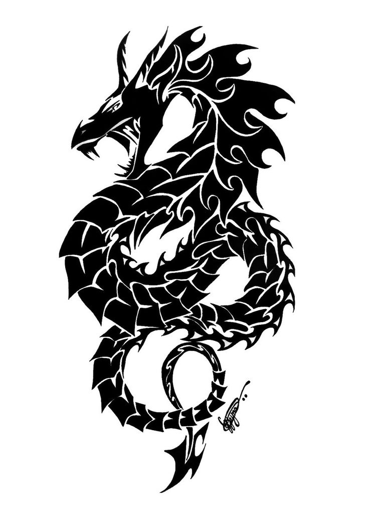 736x1032 Tribal Dragon Tattoo Sketch - Dragon Tattoo Sketch