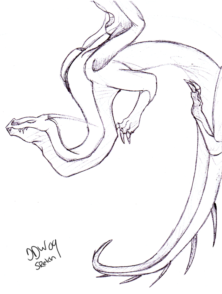 734x972 Dragon Sketch I By Dark Dragon Wings - Dragon Wings Sketch