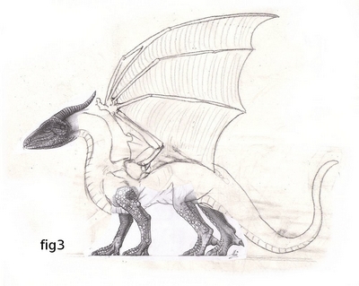 400x319 Drawing Lesson For Advanced Artists How To Draw A Dragon - Dragon Wings Sketch