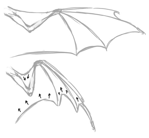 Dragon Wings Sketch at PaintingValley.com | Explore collection of ...