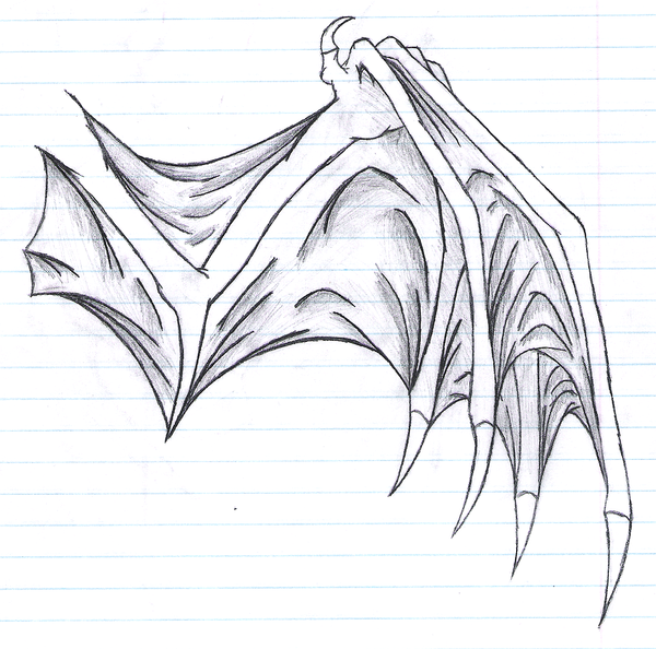 600x594 Dragon Wing Sketch By Rubygirl14 - Dragon Wings Sketch