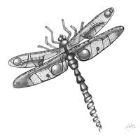 200x200 Stunning Dragonfly Pencil Drawings And Illustrations For Sale On - Dragonfly Pencil Sketch