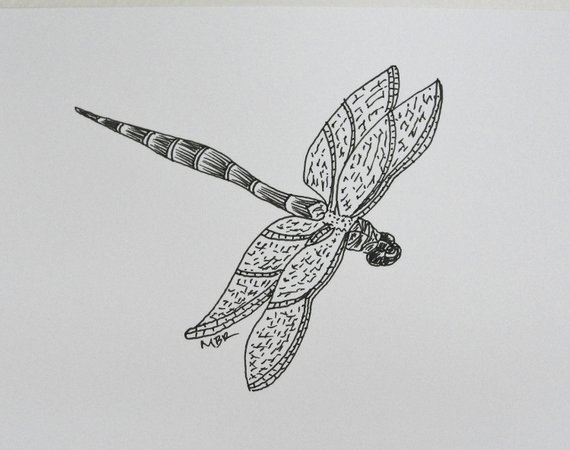 570x450 Dragonfly Ink Drawing Original Art Black And White Nature Etsy - Dragonfly Sketch