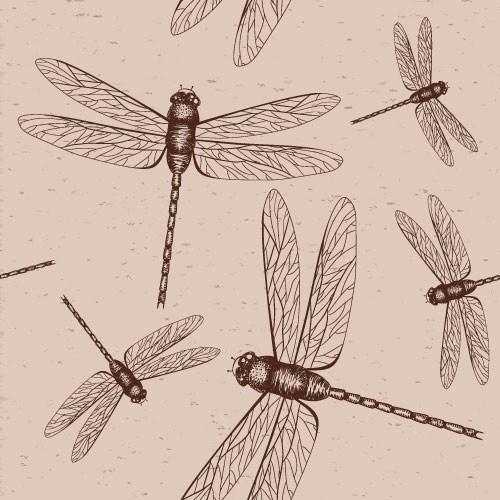 500x500 Dragonfly Sketch - Dragonfly Sketch