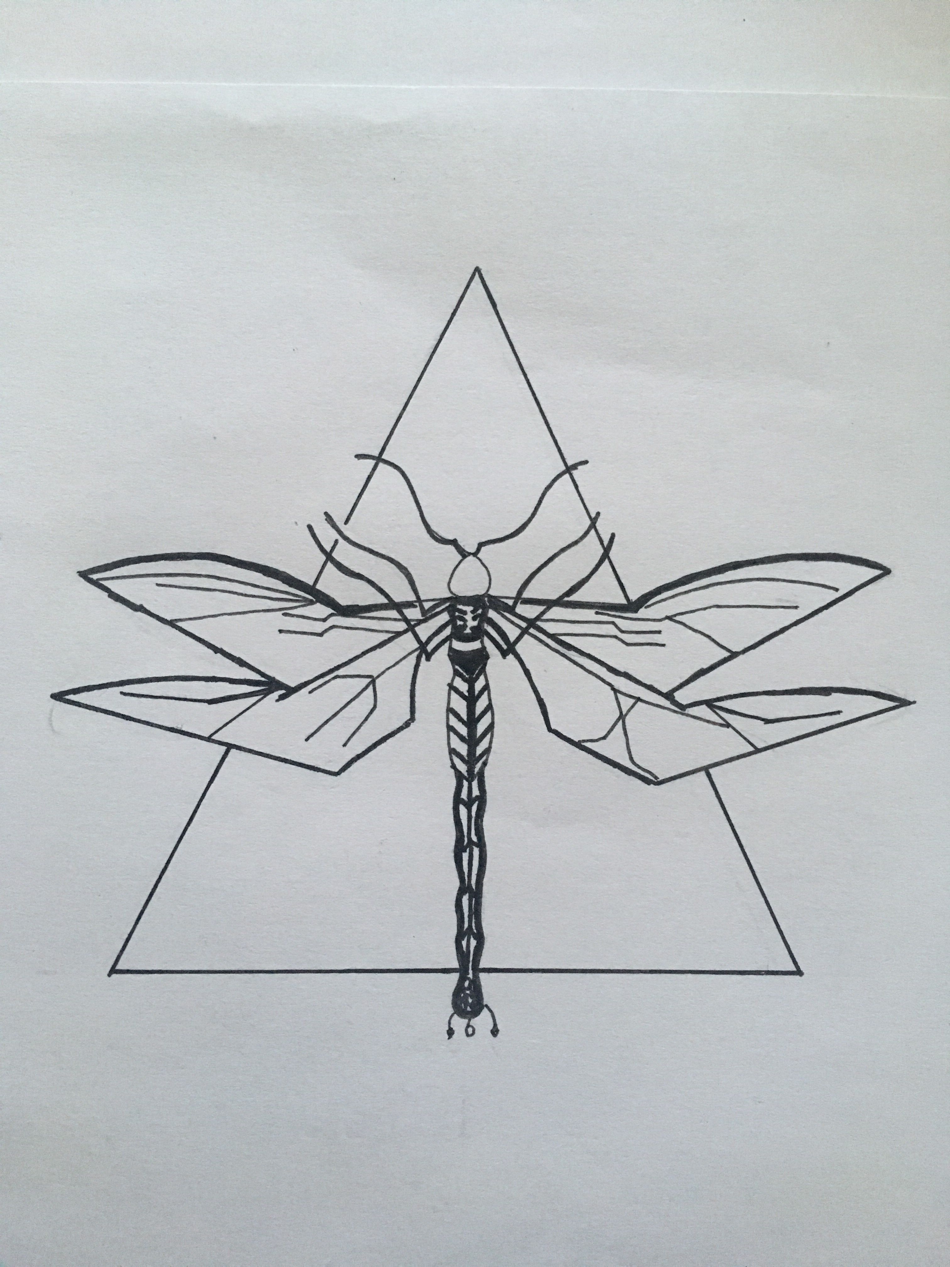 3024x4032 Dragonfly Sketch, Design By Me. For More - Dragonfly Sketch