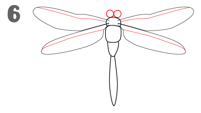 642x362 How To Draw A Dragonfly - Dragonfly Sketch