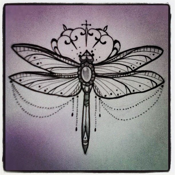 612x612 Dragonfly!!! Tattoo - Dragonfly Tattoo Sketch