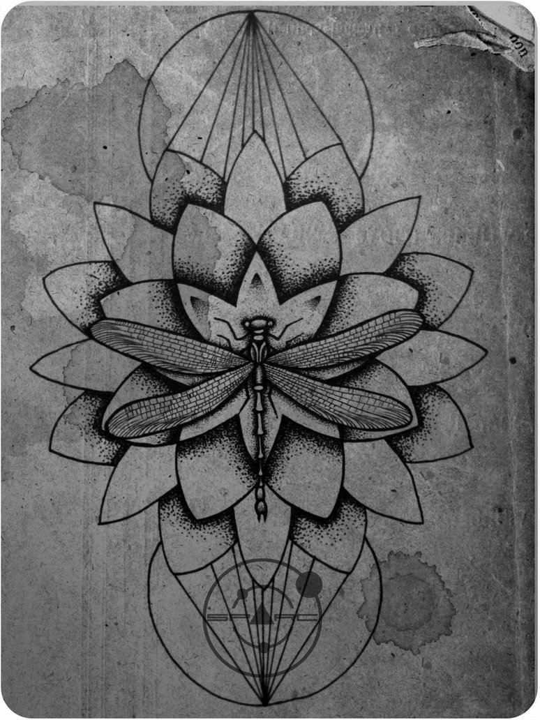 774x1032 Dragonfly Tattoo Sketch By Sparc666 - Dragonfly Tattoo Sketch