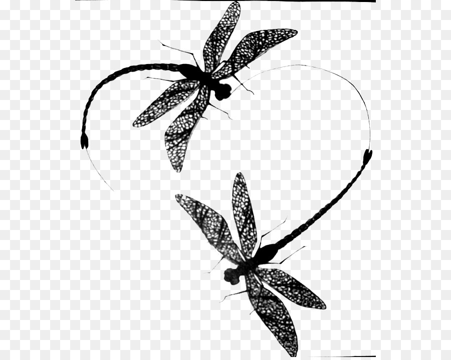 900x720 Finger Moustache Tattoo Dragonfly Drawing Sleeve Tattoo - Dragonfly Tattoo Sketch