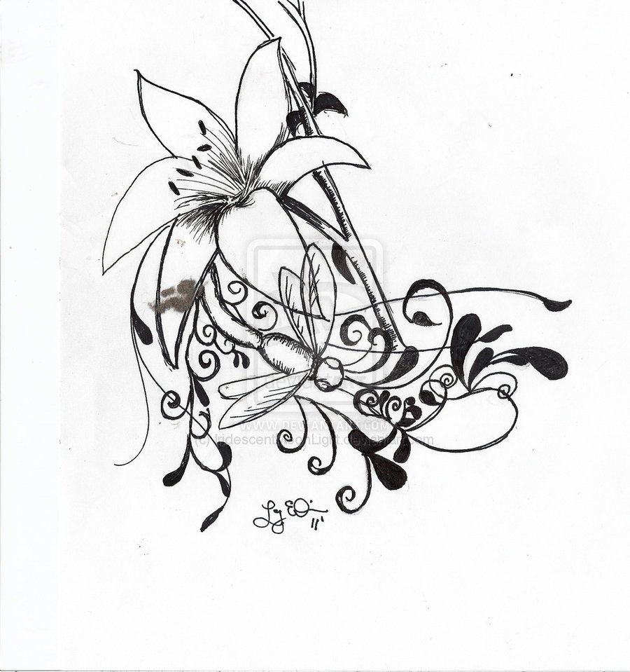 900x959 Collection Of Dragonfly Tattoo Drawing Download Them And Try To - Dragonfly Tattoo Sketch