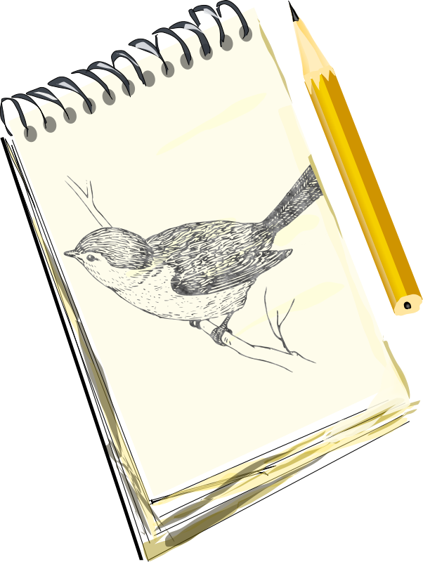 602x800 Free Clipart Sketchpad, With Drawing Of A Bird Eady - Drawing Sketch Pad