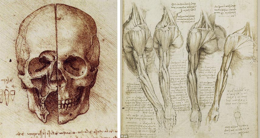 855x455 Are Pencil Sketches A Thing Of Art History Widewalls - Drawing Sketches Images