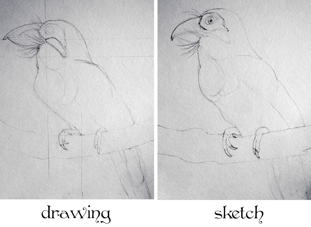 Drawing Vs Sketch at Explore collection of Drawing Vs Sketch