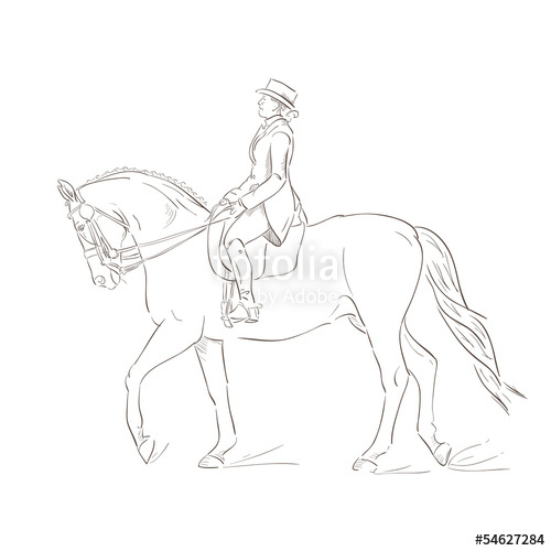 500x500 Dressage Horse, Vector Sketch Stock Image And Royalty Free Vector - Dressage Horse Sketch