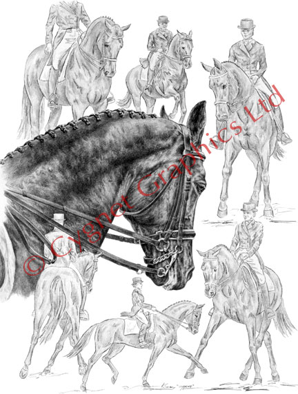 432x572 Horse Drawings And Art Prints Equine Artwork And Pencil Sketches - Dressage Horse Sketch