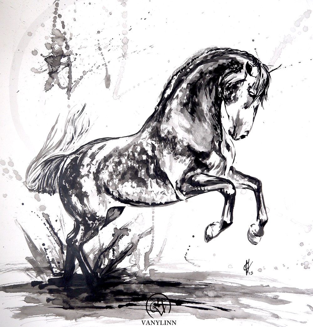 Dressage Horse Sketch at PaintingValley.com | Explore collection of ...