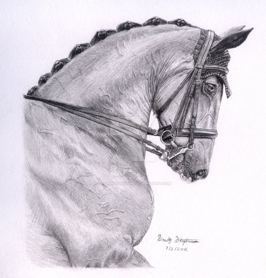 875x914 Dressage Horse By Graphiteguy1091 - Dressage Sketch