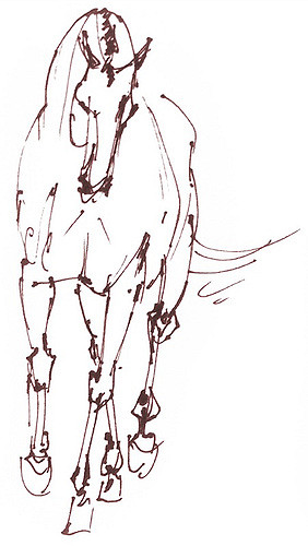 282x500 Dressage From The Front A Quick Sketch I Later Colorized - Dressage Sketch