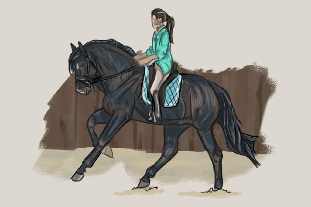 1024x682 Dressage Sketch Doodles And Drawings Amino - Dressage Sketch