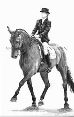 252x400 Frederic T New Equine Dressage Drawing - Dressage Sketch