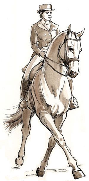 300x611 Half Pass - Dressage Sketch
