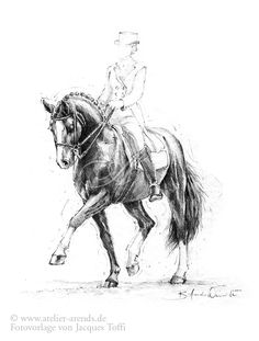 236x311 Beautiful Equine Horse Art Le Horse Print Horse Gift Horse Lover - Dressage Sketch
