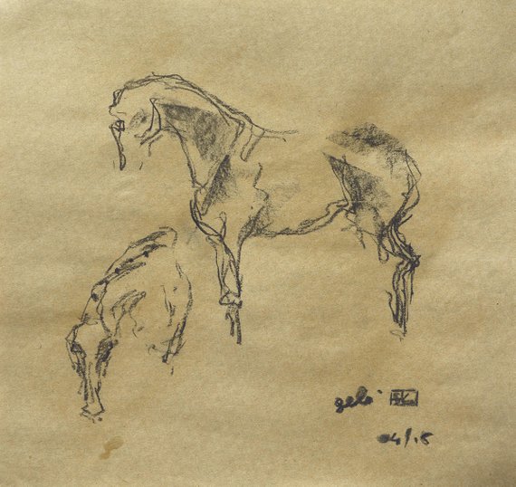 570x538 Live Drawings Horses Dressage Sketches - Dressage Sketch