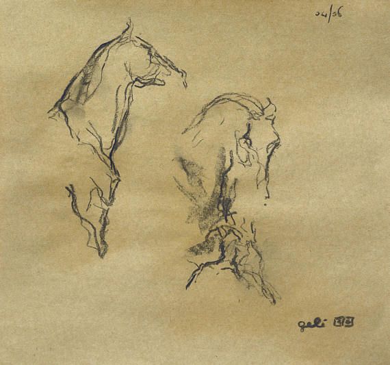 570x533 Live Drawings Horses Dressage Sketches - Dressage Sketch