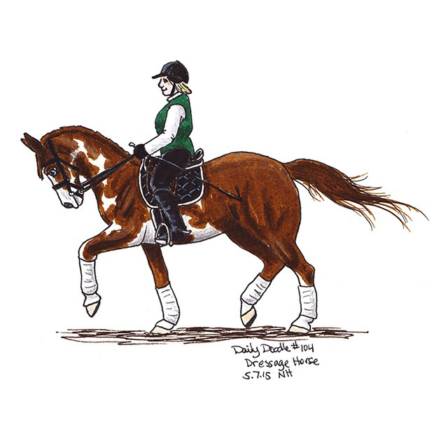640x640 No.104 Dressage Horse - Dressage Sketch