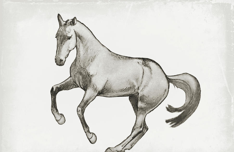 900x584 Pirouette Sketch Photograph By Dressage Design - Dressage Sketch