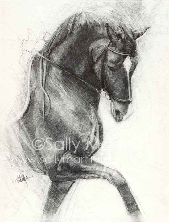 548x720 Sally Martin Equine Art Horse Dressage Drawing Art - Dressage Sketch