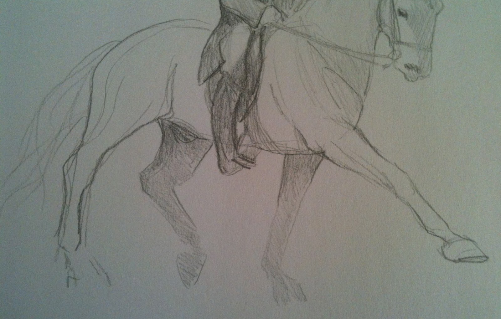 1600x1019 Ophelia Keys Equine And Other Art Twenty Dressage Sketches In - Dressage Sketch