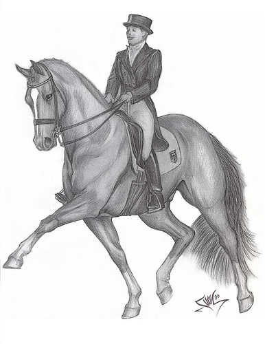 386x500 Dressage Horse Ii Passage - Dressage Sketch