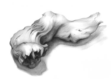 375x268 Driftwood Drawing By Eirini Bogdanou Saatchi Art - Driftwood Sketch