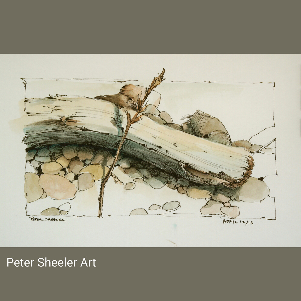 1024x1024 Driftwood Sketch Along The Shore Today. Finished Product - Driftwood Sketch