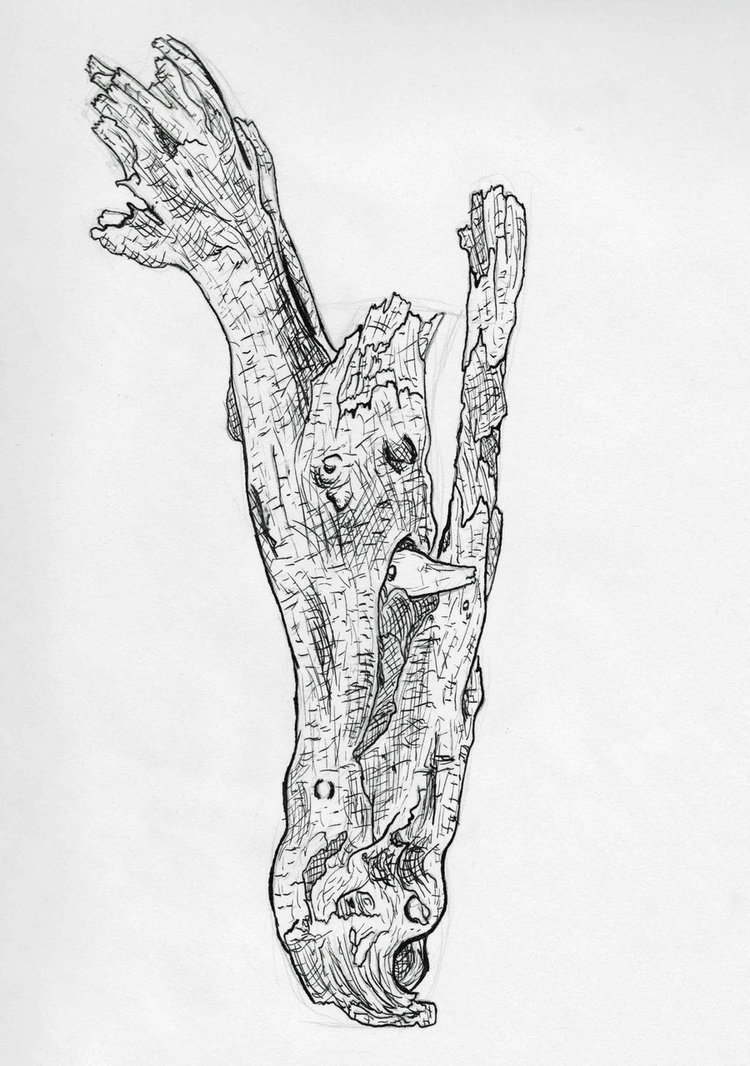750x1066 Driftwood Sketch By Katy133 - Driftwood Sketch