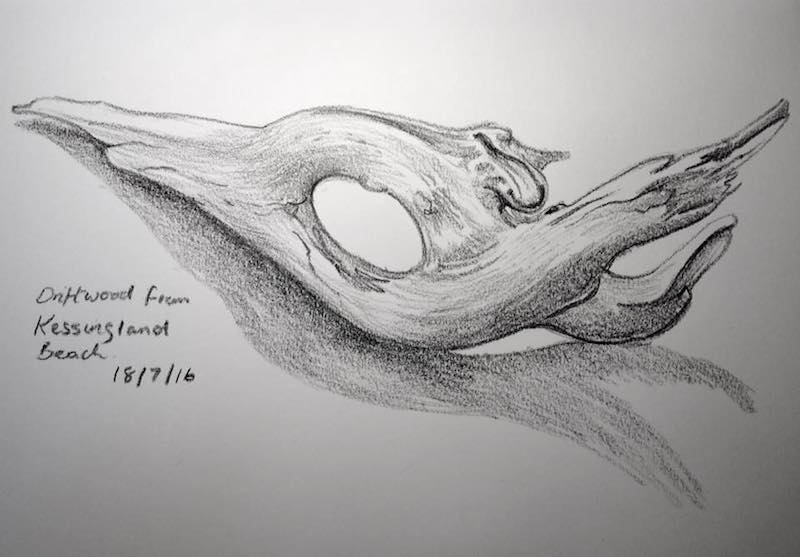 800x557 Driftwood On Kessingland Beach - Driftwood Sketch